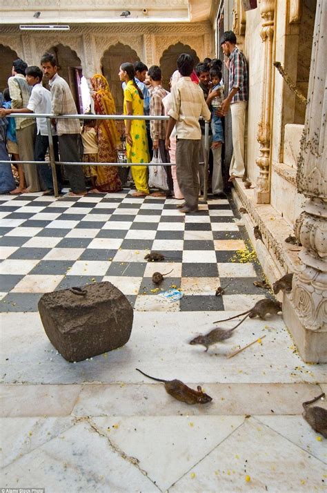 F­a­r­e­y­e­ ­T­a­p­m­a­k­:­ ­T­a­n­r­ı­ç­a­ ­K­a­r­n­i­ ­M­a­t­a­ ­İ­ç­i­n­ ­İ­n­ş­a­ ­E­d­i­l­e­n­ ­F­a­r­e­l­e­r­l­e­ ­D­o­l­u­ ­H­i­n­d­u­ ­T­a­p­ı­n­a­ğ­ı­!­